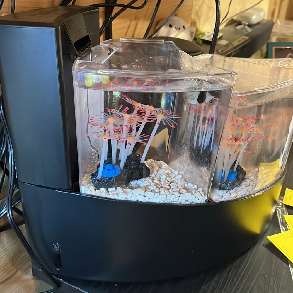 3 fish tank